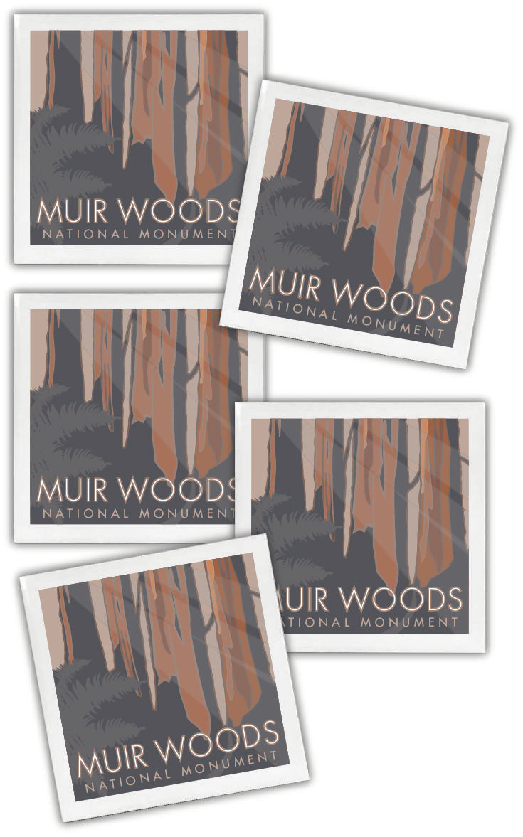 Muir Woods National Monument, California - 4.25" x 4.25" Ceramic Coaster