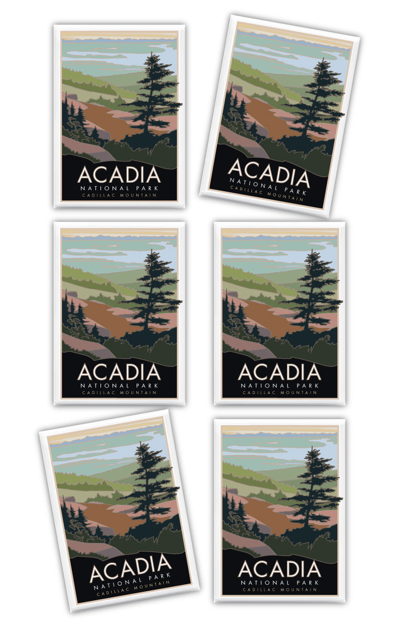 Acadia National Park, Cadillac Mountain, Maine - 2.5" x 3.5" Magnet