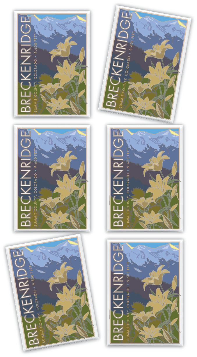 Breckenridge, Colorado, Summer Lilies - 2.5" x 3.5" Magnet