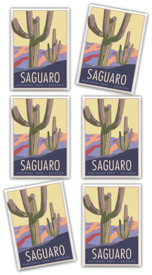 Saguaro National Park, Arizona - 2.5" x 3.5" Magnet