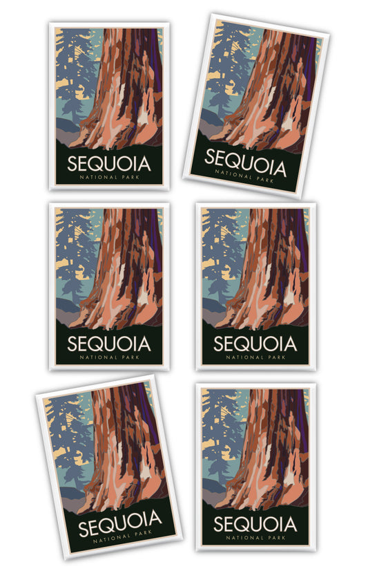 Sequoia National Park, Forest View, California - 2.5" x 3.5" Magnet