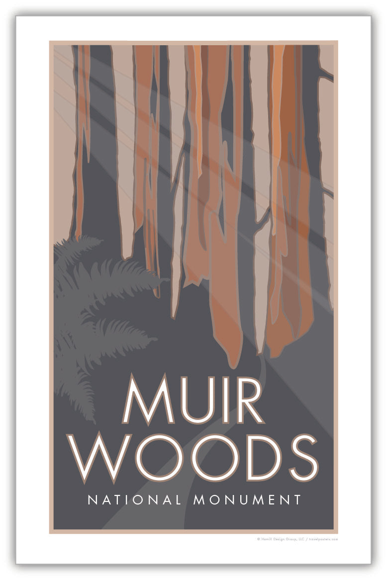 Muir Woods National Monument, California - Poster