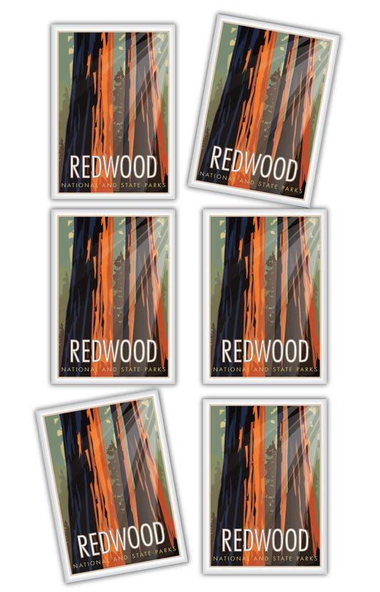 Redwood National and State Park, California - 2.5" x 3.5" Magnet