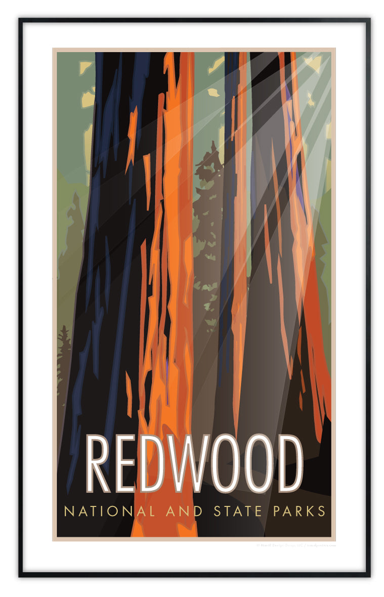 Redwood National and State Park, California - Poster