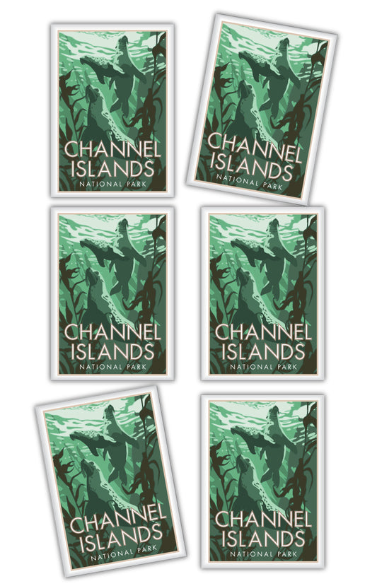 Channel Islands National Park, California - 2.5" x 3.5" Magnet